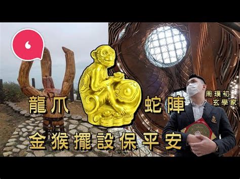 k11 musea命案|K11 Musea蛇陣傳說 被指佈局古靈精怪、一入就頭暈 似澳門賭場。